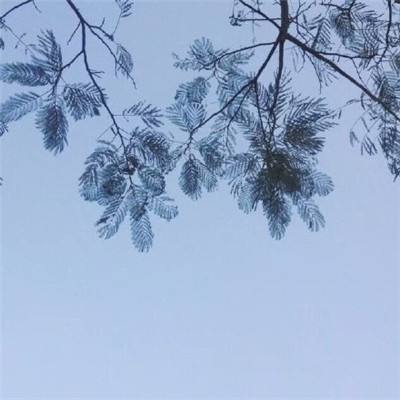 糖果大消除游戏