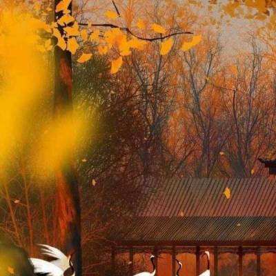 传奇无双安锋手游下载